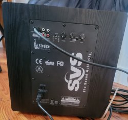 SVS - Back.jpg